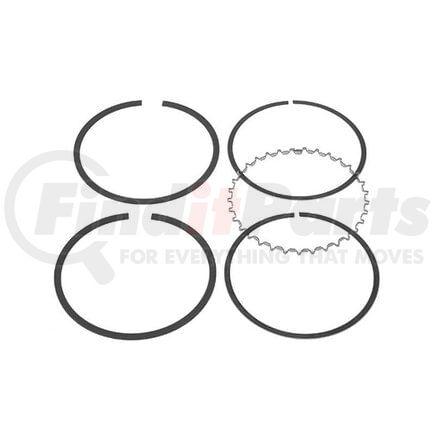 RP101236 by RELIANCE POWER PRODUCTS - Piston Ring Set