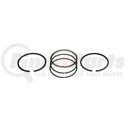 RP151162 by RELIANCE POWER PRODUCTS - Piston Ring Set