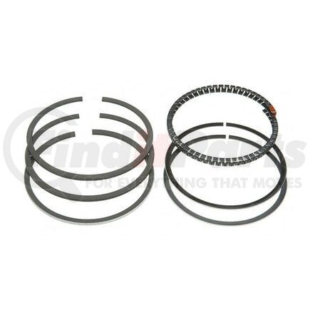 RP181341 by RELIANCE POWER PRODUCTS - Piston Ring Set