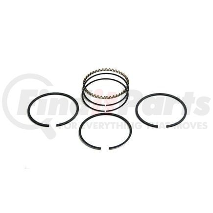 S161344AS by RELIANCE POWER PRODUCTS - Piston Ring Set