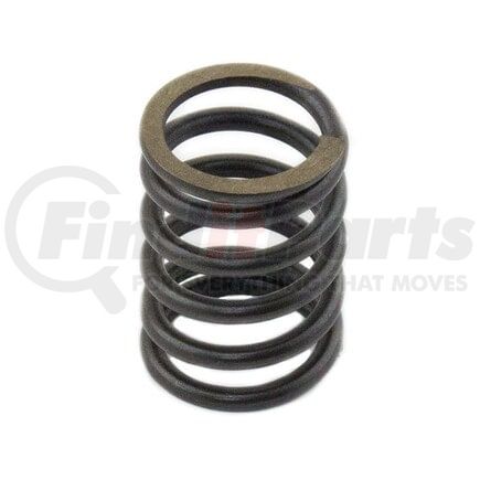 SH198216700 by RELIANCE POWER PRODUCTS - Valve Spring