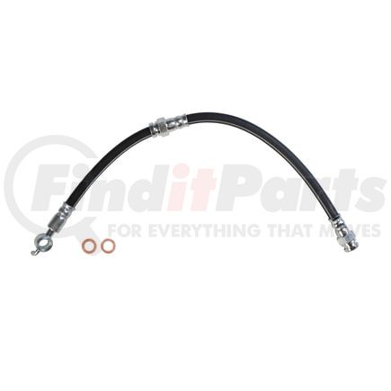 2203885 by SUNSONG - 2203885