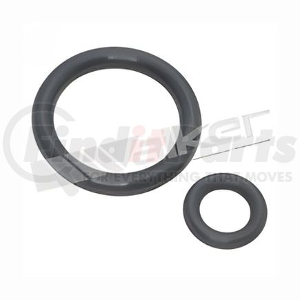 17155 by WALKER PRODUCTS - Walker Products 17155 Fuel Injector Seal Kit