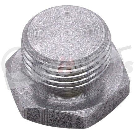 90-185 by WALKER PRODUCTS - Walker Products 90-185 O2 Bung Plug  Mild Steel 18mm Threads