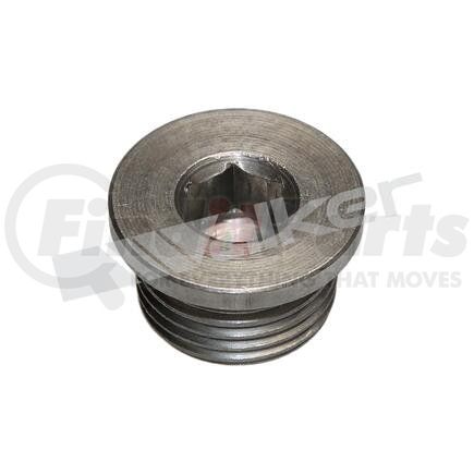 90-200SS by WALKER PRODUCTS - Walker Products 90-200SS O2 Bung Plug Stainless Steel 18mm Threads
