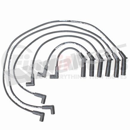 900-1348 by WALKER PRODUCTS - ThunderCore-Ultra 900-1348 Spark Plug Wire Set