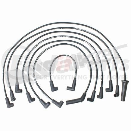 900-1361 by WALKER PRODUCTS - ThunderCore-Ultra 900-1361 Spark Plug Wire Set