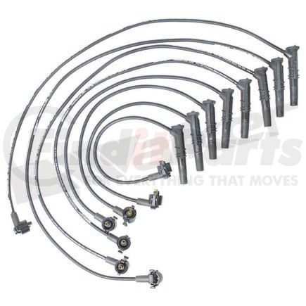 900-1402 by WALKER PRODUCTS - ThunderCore-Ultra 900-1402 Spark Plug Wire Set