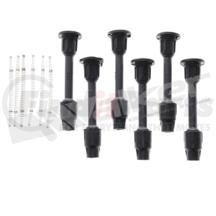 900P20106 by WALKER PRODUCTS - ThunderCore-Ultra 900-P2010-6 Coil Boot Kit
