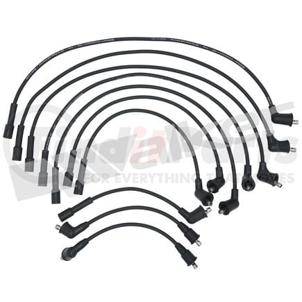 924-1124 by WALKER PRODUCTS - ThunderCore PRO Spark Plug Wire Sets carry high voltage current from the ignition coil and/or distributor to the spark plug to ignite the fuel air mixture in each cylinder.  They are a vital component of efficient engine operation.