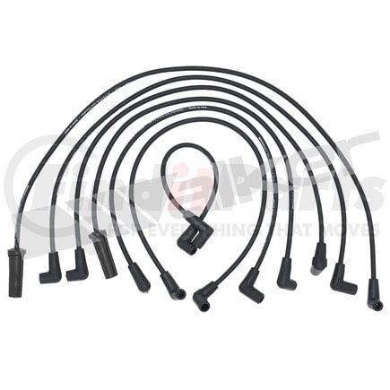 924-1329 by WALKER PRODUCTS - ThunderCore PRO Spark Plug Wire Sets carry high voltage current from the ignition coil and/or distributor to the spark plug to ignite the fuel air mixture in each cylinder.  They are a vital component of efficient engine operation.