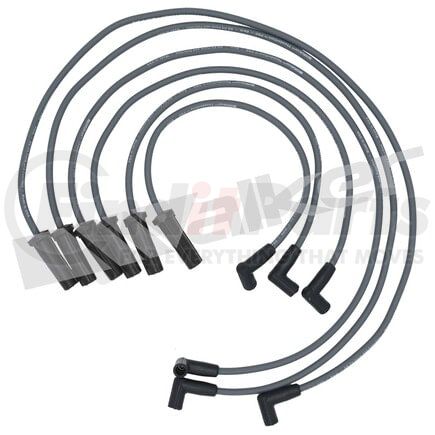 924-1339 by WALKER PRODUCTS - ThunderCore PRO Spark Plug Wire Sets carry high voltage current from the ignition coil and/or distributor to the spark plug to ignite the fuel air mixture in each cylinder.  They are a vital component of efficient engine operation.