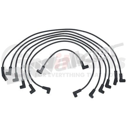 924-1356 by WALKER PRODUCTS - ThunderCore PRO Spark Plug Wire Sets carry high voltage current from the ignition coil and/or distributor to the spark plug to ignite the fuel air mixture in each cylinder.  They are a vital component of efficient engine operation.