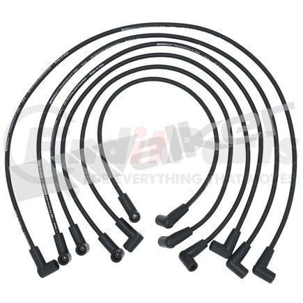 924-1359 by WALKER PRODUCTS - ThunderCore PRO Spark Plug Wire Sets carry high voltage current from the ignition coil and/or distributor to the spark plug to ignite the fuel air mixture in each cylinder.  They are a vital component of efficient engine operation.