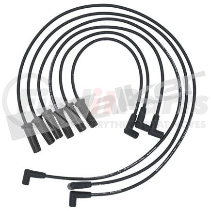 924-1366 by WALKER PRODUCTS - ThunderCore PRO Spark Plug Wire Sets carry high voltage current from the ignition coil and/or distributor to the spark plug to ignite the fuel air mixture in each cylinder.  They are a vital component of efficient engine operation.