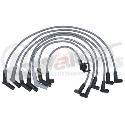 924-1370 by WALKER PRODUCTS - ThunderCore PRO 924-1370 Spark Plug Wire Set