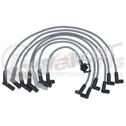 924-1370 by WALKER PRODUCTS - ThunderCore PRO Spark Plug Wire Sets carry high voltage current from the ignition coil and/or distributor to the spark plug to ignite the fuel air mixture in each cylinder.  They are a vital component of efficient engine operation.