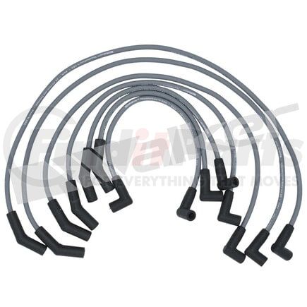 924-1373 by WALKER PRODUCTS - ThunderCore PRO Spark Plug Wire Sets carry high voltage current from the ignition coil and/or distributor to the spark plug to ignite the fuel air mixture in each cylinder.  They are a vital component of efficient engine operation.