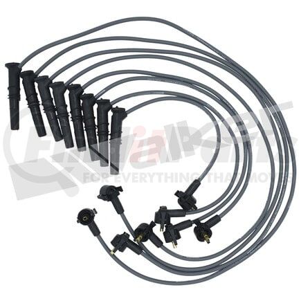 924-1401 by WALKER PRODUCTS - ThunderCore PRO Spark Plug Wire Sets carry high voltage current from the ignition coil and/or distributor to the spark plug to ignite the fuel air mixture in each cylinder.  They are a vital component of efficient engine operation.