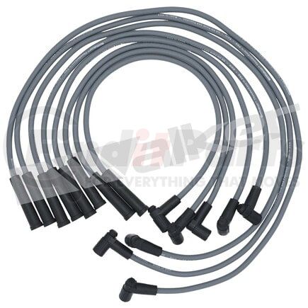 924-1404 by WALKER PRODUCTS - ThunderCore PRO Spark Plug Wire Sets carry high voltage current from the ignition coil and/or distributor to the spark plug to ignite the fuel air mixture in each cylinder.  They are a vital component of efficient engine operation.