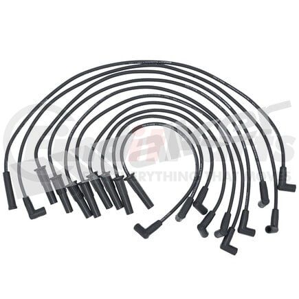 924-1413 by WALKER PRODUCTS - ThunderCore PRO Spark Plug Wire Sets carry high voltage current from the ignition coil and/or distributor to the spark plug to ignite the fuel air mixture in each cylinder.  They are a vital component of efficient engine operation.