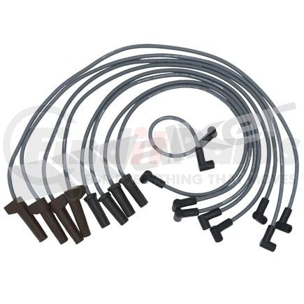 924-1428 by WALKER PRODUCTS - ThunderCore PRO Spark Plug Wire Sets carry high voltage current from the ignition coil and/or distributor to the spark plug to ignite the fuel air mixture in each cylinder.  They are a vital component of efficient engine operation.