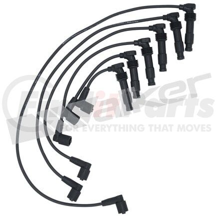 924-1496 by WALKER PRODUCTS - ThunderCore PRO Spark Plug Wire Sets carry high voltage current from the ignition coil and/or distributor to the spark plug to ignite the fuel air mixture in each cylinder.  They are a vital component of efficient engine operation.