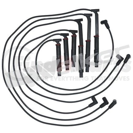 924-1590 by WALKER PRODUCTS - ThunderCore PRO Spark Plug Wire Sets carry high voltage current from the ignition coil and/or distributor to the spark plug to ignite the fuel air mixture in each cylinder.  They are a vital component of efficient engine operation.