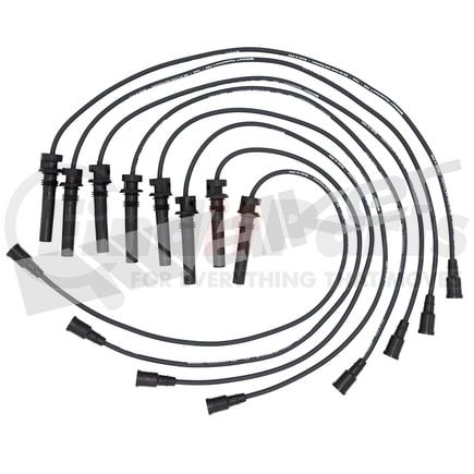 924-1660 by WALKER PRODUCTS - ThunderCore PRO Spark Plug Wire Sets carry high voltage current from the ignition coil and/or distributor to the spark plug to ignite the fuel air mixture in each cylinder.  They are a vital component of efficient engine operation.