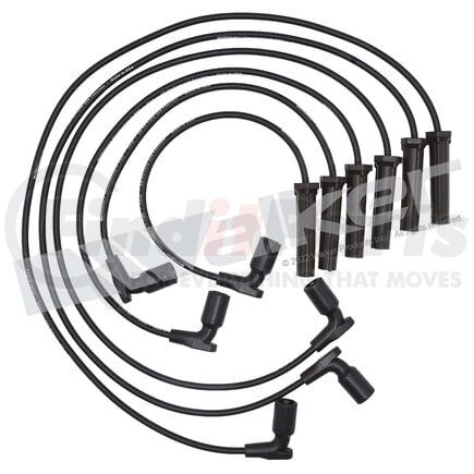 924-2046 by WALKER PRODUCTS - ThunderCore PRO Spark Plug Wire Sets carry high voltage current from the ignition coil and/or distributor to the spark plug to ignite the fuel air mixture in each cylinder.  They are a vital component of efficient engine operation.
