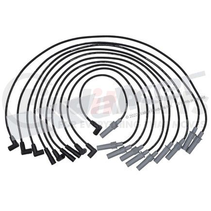 924-2078 by WALKER PRODUCTS - ThunderCore PRO Spark Plug Wire Sets carry high voltage current from the ignition coil and/or distributor to the spark plug to ignite the fuel air mixture in each cylinder.  They are a vital component of efficient engine operation.