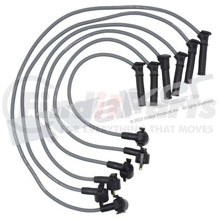 924-2079 by WALKER PRODUCTS - ThunderCore PRO Spark Plug Wire Sets carry high voltage current from the ignition coil and/or distributor to the spark plug to ignite the fuel air mixture in each cylinder.  They are a vital component of efficient engine operation.