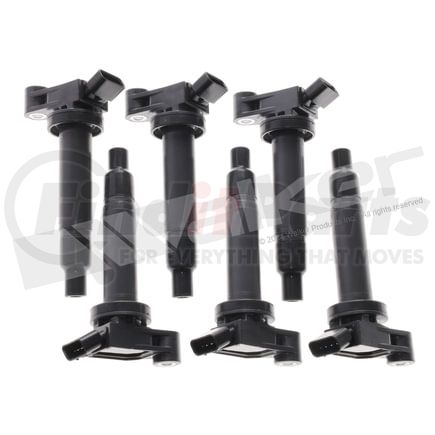 928-4066-6 by WALKER PRODUCTS - Ignition Coil Set