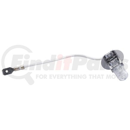 91051 by GROTE - 24 V BULB