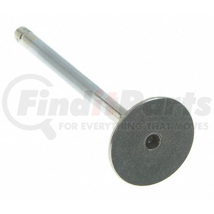 Sealed Power V-4342 Engine Exhaust Valve Engine Exhaust Valve