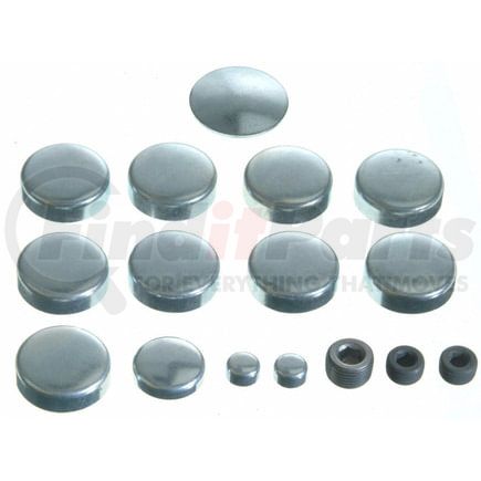 3814014 by SEALED POWER - Engine Expansion Plug Kit