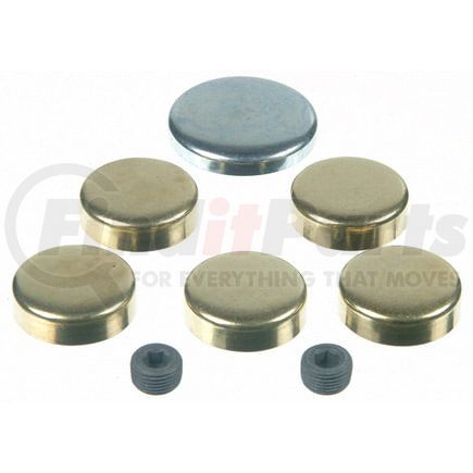 3818012 by SEALED POWER - Engine Expansion Plug Kit