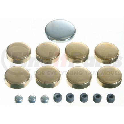 3818007 by SEALED POWER - Engine Expansion Plug Kit
