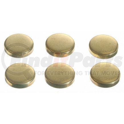 Sealed Power 3818042 Engine Expansion Plug Kit Engine Expansion Plug Kit
