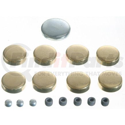 3818059 by SEALED POWER - Engine Expansion Plug Kit