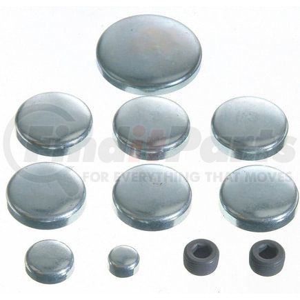 381-4020 by SEALED POWER - Engine Expansion Plug Kit