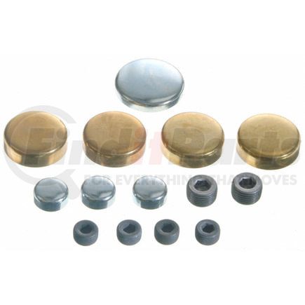 381-8019 by SEALED POWER - Engine Expansion Plug Kit