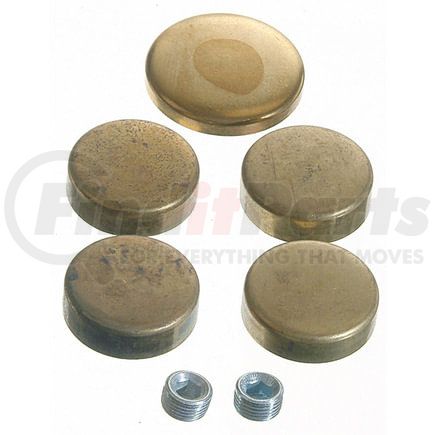 381-8063 by SEALED POWER - Engine Expansion Plug Kit