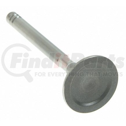 Sealed Power V-1389 Engine Exhaust Valve Engine Exhaust Valve