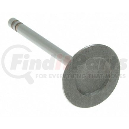 V-1612 by SEALED POWER - Engine Intake Valve