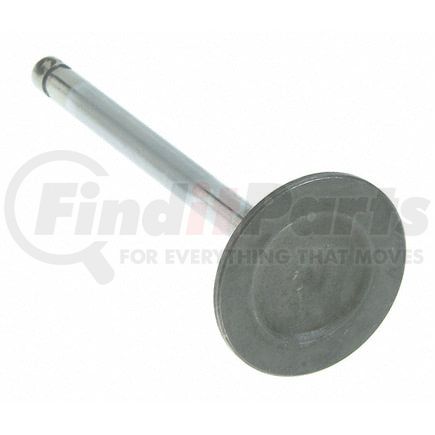 V-2041 by SEALED POWER - Engine Intake Valve