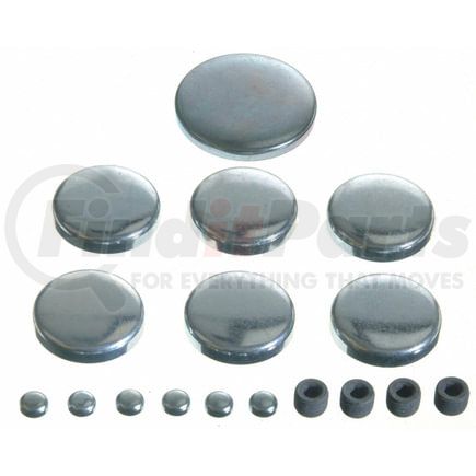 381-4015 by SEALED POWER - Expansion Plug Kit