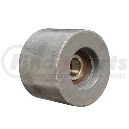 89110 by DAYCO - Idler/Tensioner Pulley - HD, Serpentine, 74 mm Dia, 57 mm W, Steel, 2 Bearings