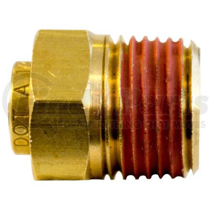 PL1368251 by TECTRAN - DOT Male Push-Lock Brass Connector Fitting for Nylon Tubing, 5/32" Tube Size, 1/16" Pipe Thread