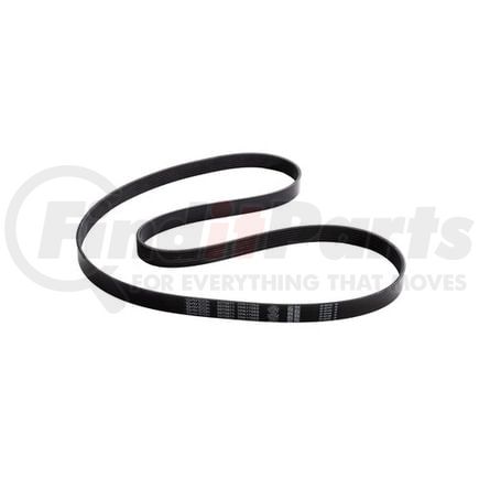 5070671 by DAYCO - POLY RIB BELT, DAYCO